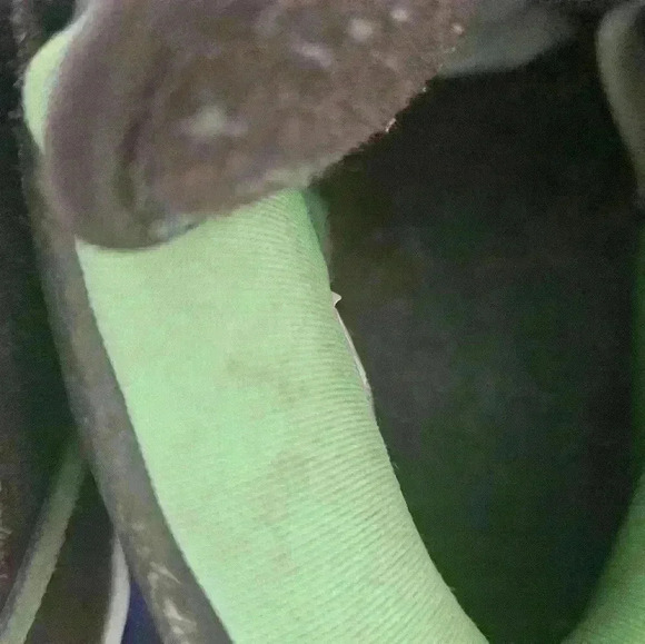 314383-231 Nike Dunks Donatello SB Baroque Brown/Radiant Green Sz 9 EUC - Picture 10 of 11